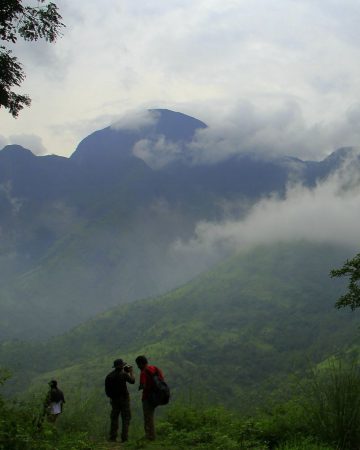 Hiking